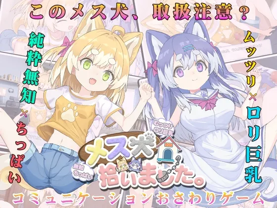 I Picked Up a Female Dog.