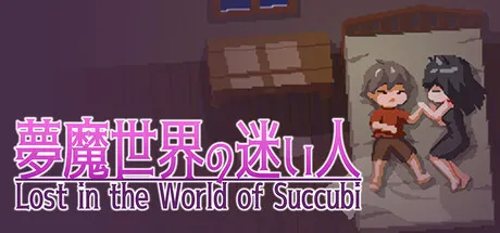 Lost in the World of Succubi